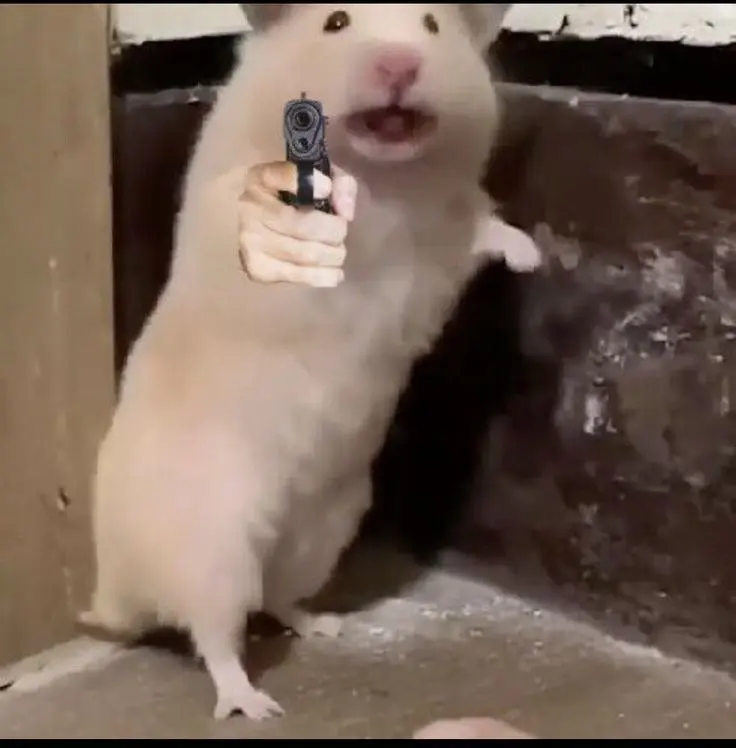 Hamster meme cầm súng hài hước, thú vị