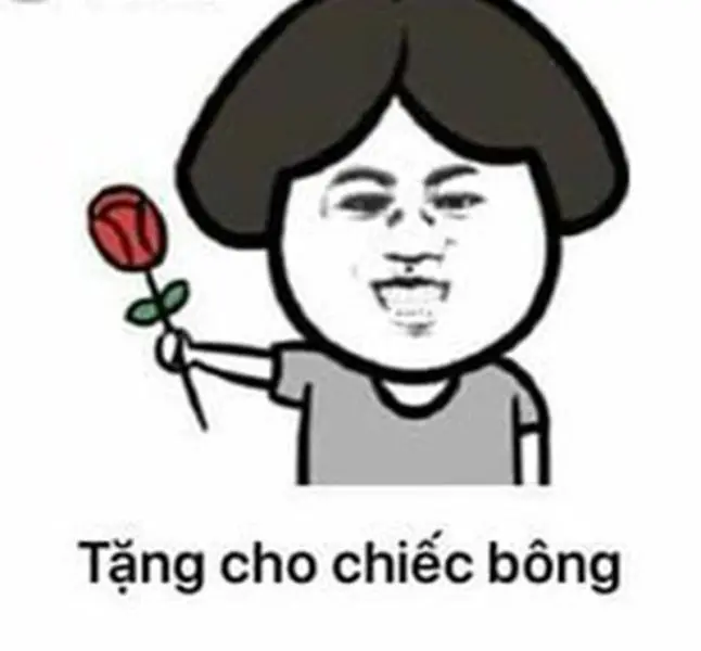 Meme tặng hoa an ủi cực cute