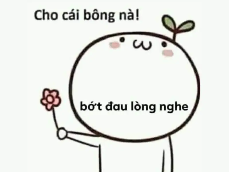 Meme tặng bông hoa an ủi, hài hước