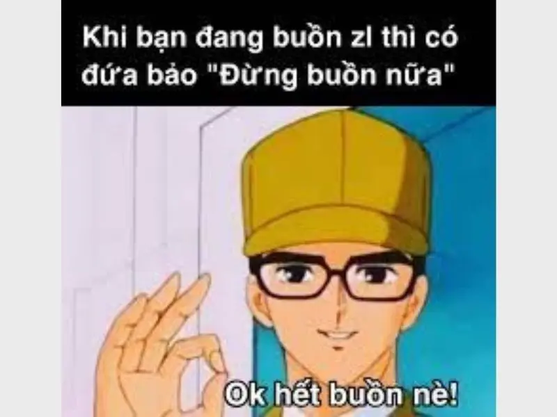 Meme an ủi vô tri, hài hước