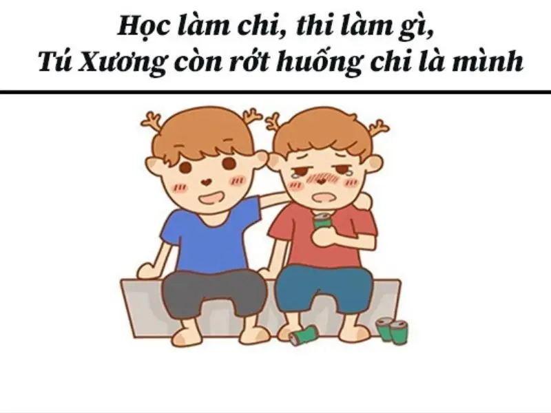Meme an ủi ý nghĩa, hài hước và dí dỏm