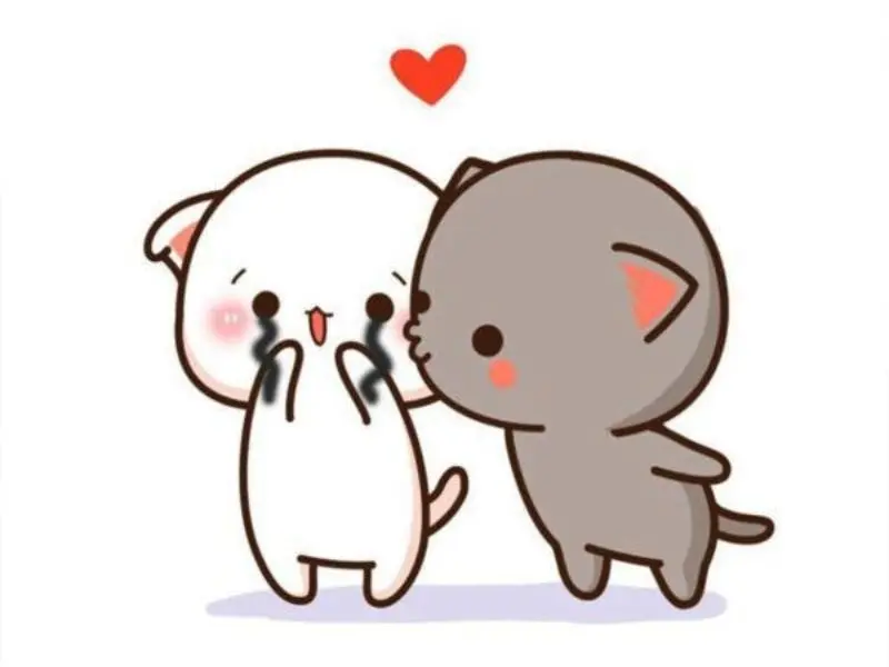 Meme an ủi cho cặp đôi hài hước