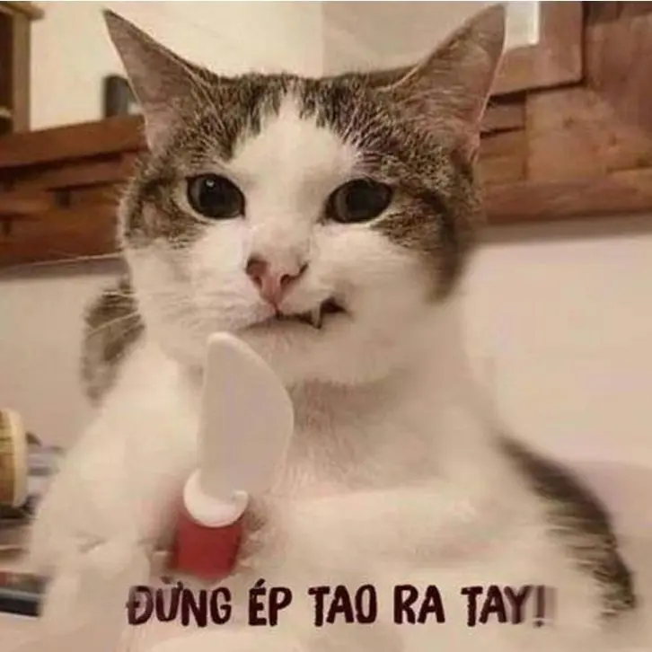 Meme chửi thuê thu hút sự chú ý của nhiều người