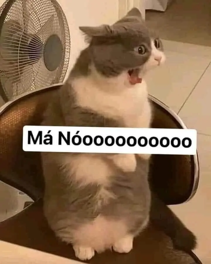 Meme chửi thuê gây cười cho người xem