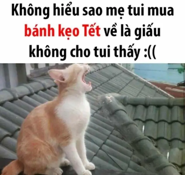 Meme không hiểu với nét mặt ngơ ngác