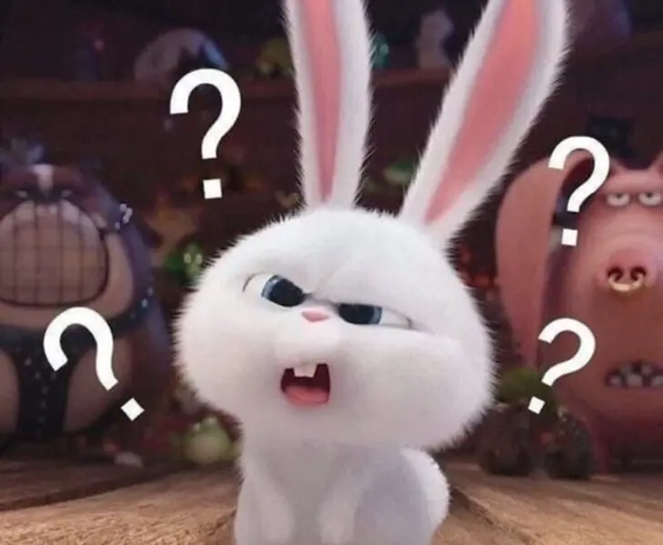 Meme không hiểu với nét mặt lúng túng