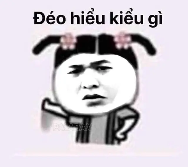 Meme không hiểu mang lại tiếng cười cho mọi người