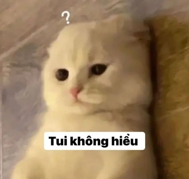 Meme không hiểu với biểu cảm hài hước