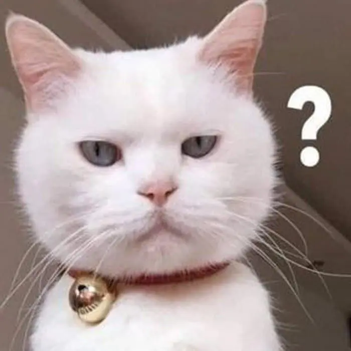 Meme không hiểu và câu nói hài hước