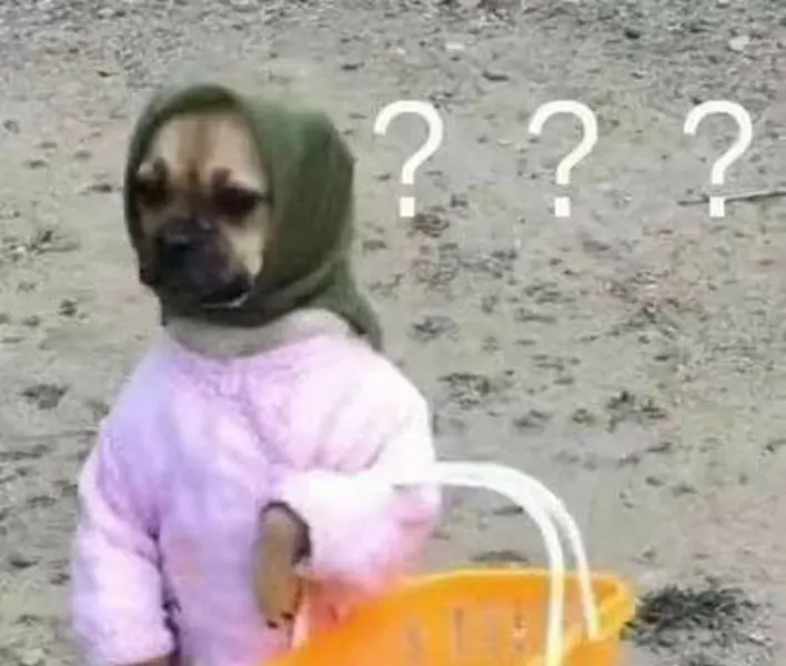 Meme không hiểu tạo cảm giác ngạc nhiên