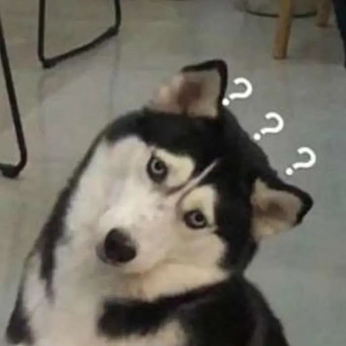 Meme không hiểu với nét mặt ngơ ngác