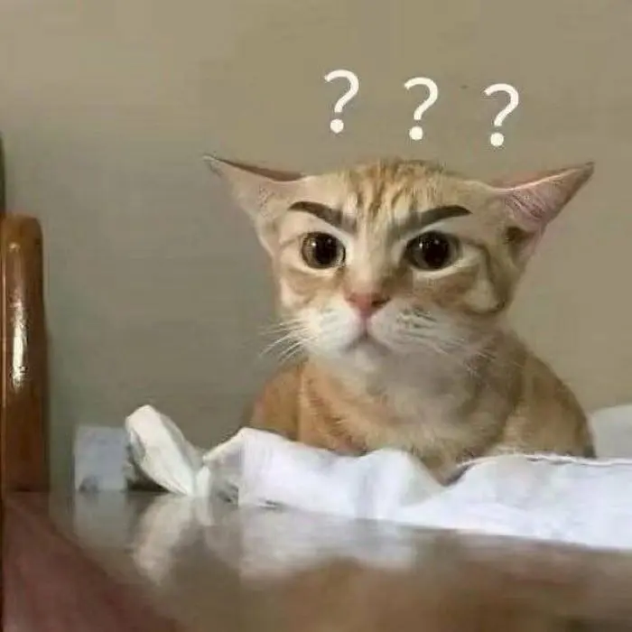 Meme không hiểu trong tình huống hài hước