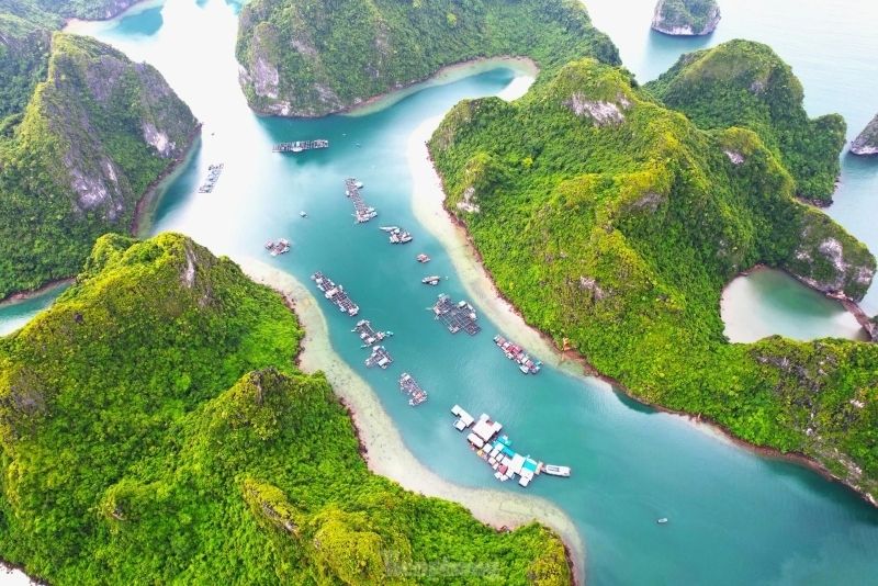 Vịnh Hạ Long hiện lên sống động trong từng bức ảnh Vịnh Hạ Long hiện lên sống động trong từng bức ảnh
