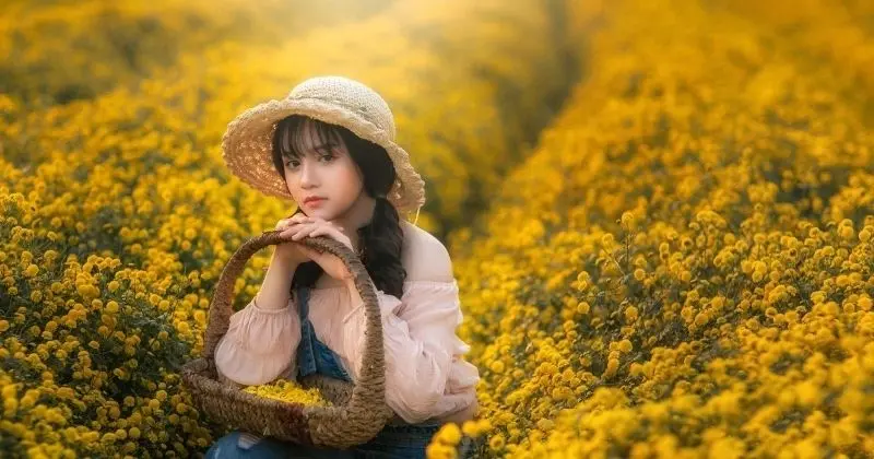 Hình ảnh vàng thiên nhiên mang đến sự ấm áp nhẹ nhàng Hình ảnh vàng thiên nhiên mang đến sự ấm áp nhẹ nhàng