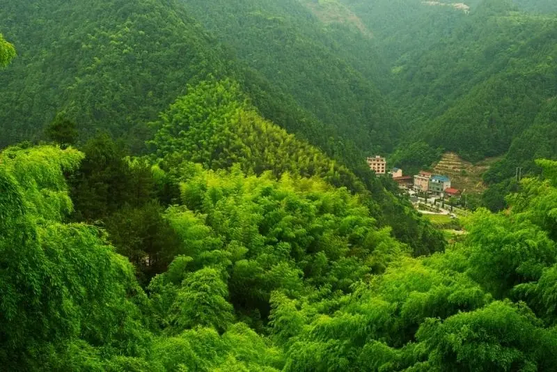 Vẻ đẹp rừng núi tràn đầy cảm xúc qua từng bức ảnh