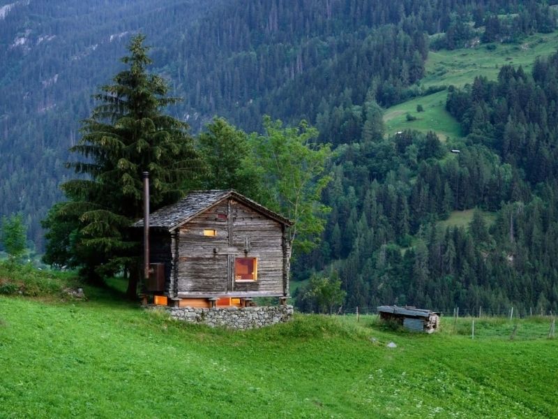 Ảnh rừng núi là điểm nhấn cho sự hùng vĩ của thiên nhiên