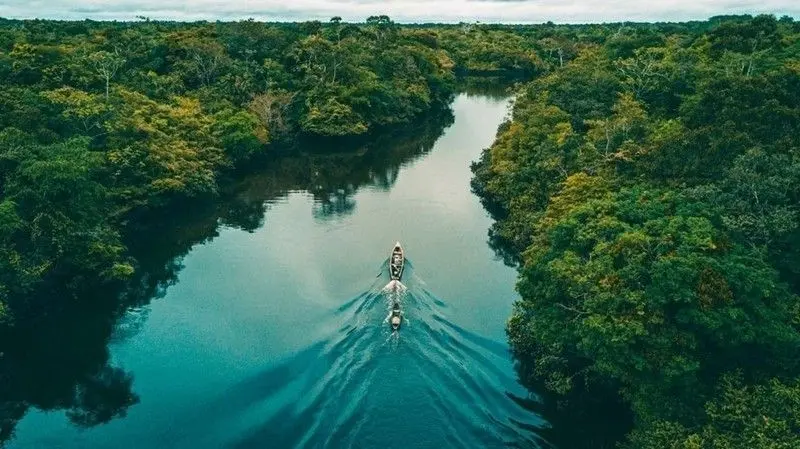 Ảnh rừng có sông phản ánh sự sống động của thiên nhiên