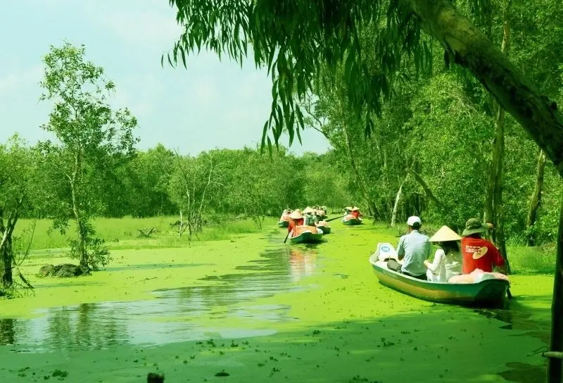 Ảnh rừng có sông là biểu tượng của sự hòa hợp thiên nhiên