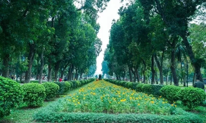 Tìm kiếm sự bình yên qua ảnh cây xanh gần gũi Tìm kiếm sự bình yên qua ảnh cây xanh gần gũi