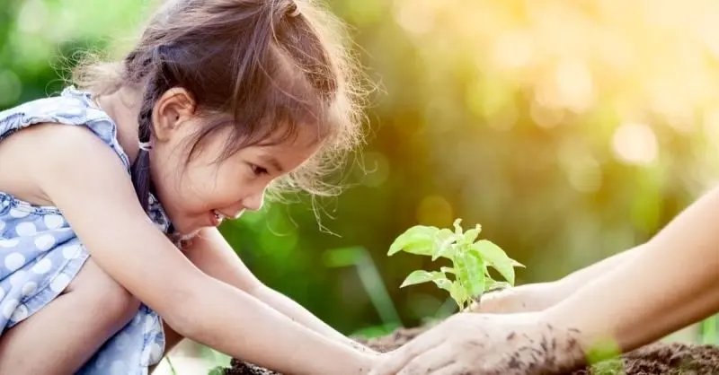 Ảnh cây xanh là nguồn năng lượng sống dồi dào Ảnh cây xanh là nguồn năng lượng sống dồi dào
