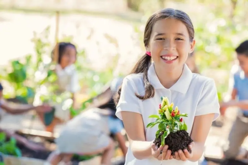Hình ảnh trồng cây xanh mang lại môi trường trong lành Hình ảnh trồng cây xanh mang lại môi trường trong lành