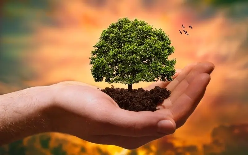 Hình ảnh trồng cây xanh là thông điệp ý nghĩa Hình ảnh trồng cây xanh là thông điệp ý nghĩa