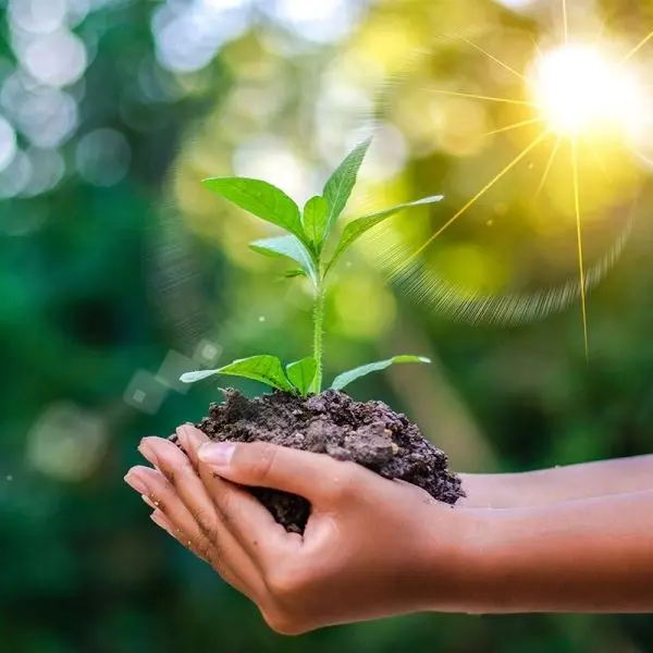 Hình ảnh trồng cây xanh là hành động thiết thực vì tương lai Hình ảnh trồng cây xanh là hành động thiết thực vì tương lai