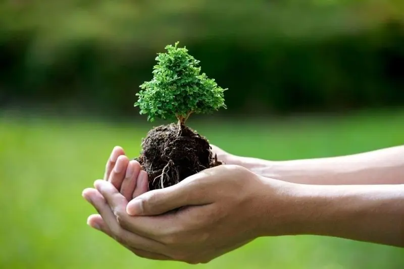 Hình ảnh trồng cây xanh truyền cảm hứng mạnh mẽ Hình ảnh trồng cây xanh truyền cảm hứng mạnh mẽ