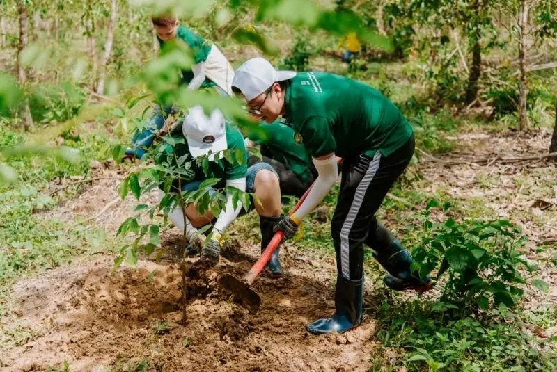 Trồng cây xanh là hành động bảo vệ môi trường ý nghĩa Trồng cây xanh là hành động bảo vệ môi trường ý nghĩa