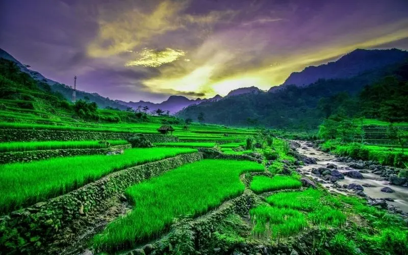 Khung cảnh ruộng bậc thang trên quê hương Việt Nam vùng cao Khung cảnh ruộng bậc thang trên quê hương Việt Nam vùng cao