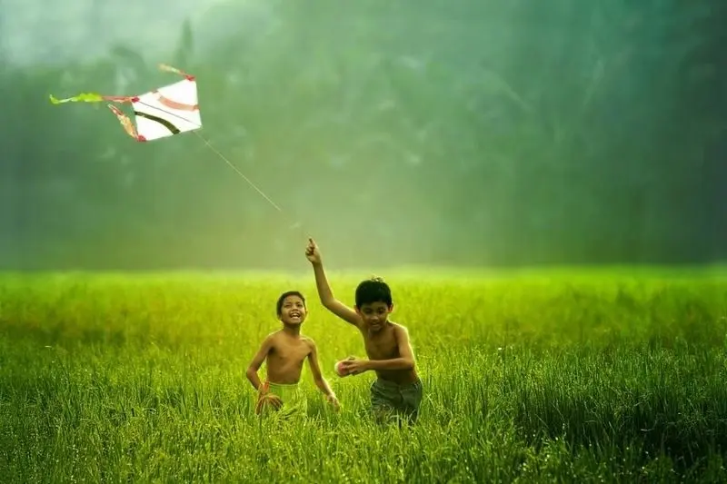 Cánh đồng quê gợi lại hình ảnh tuổi thơ yên bình Cánh đồng quê gợi lại hình ảnh tuổi thơ yên bình