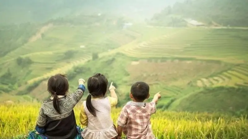 Cánh đồng quê gợi lại hình ảnh tuổi thơ yên bình Cánh đồng quê gợi lại hình ảnh tuổi thơ yên bình