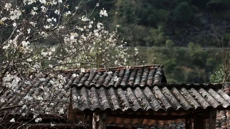 Hình ảnh làng quê yên bình gắn liền với đất nước Việt Nam Hình ảnh làng quê yên bình gắn liền với đất nước Việt Nam