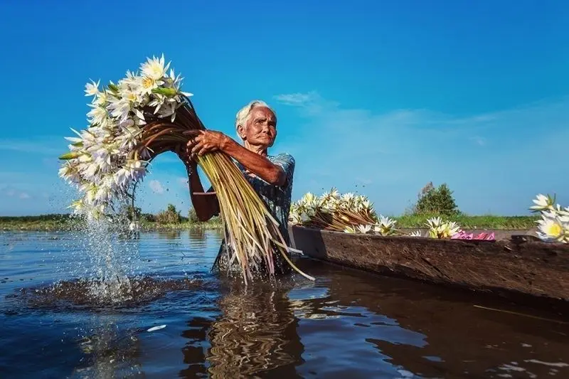 Hình ảnh đất nước Việt Nam với dòng sông thơ mộng Hình ảnh đất nước Việt Nam với dòng sông thơ mộng