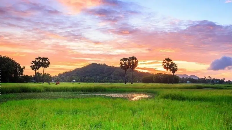 Hình ảnh quê hương đất nước là niềm tự hào của mọi thế hệ Hình ảnh quê hương đất nước là niềm tự hào của mọi thế hệ