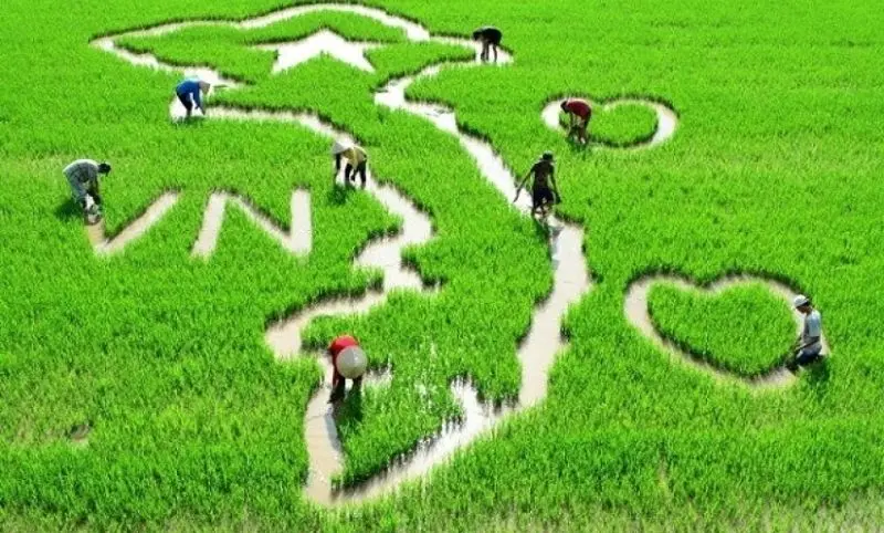 Hình ảnh đời thường trên quê hương Việt Nam thân thuộc Hình ảnh đời thường trên quê hương Việt Nam thân thuộc