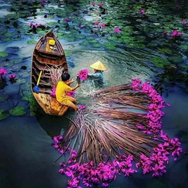Cảnh sinh hoạt đời thường trên quê hương Việt Nam yên ả Cảnh sinh hoạt đời thường trên quê hương Việt Nam yên ả