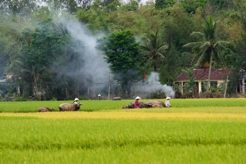Cảnh sắc mộc mạc của làng chài quê hương Việt Nam Cảnh sắc mộc mạc của làng chài quê hương Việt Nam