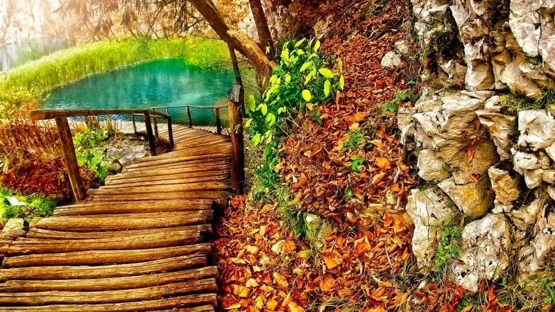 Ảnh thiên nhiên 4K lưu giữ từng khoảnh khắc hoàn hảo Ảnh thiên nhiên 4K lưu giữ từng khoảnh khắc hoàn hảo