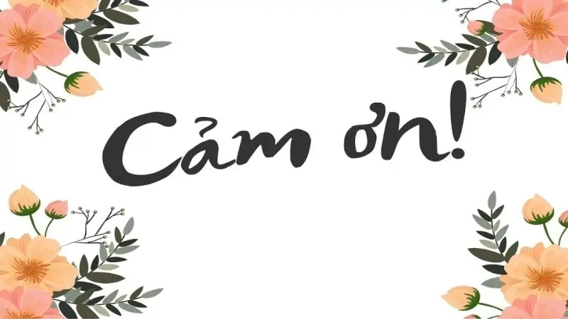 Ảnh cảm ơn cuối slide đẹp mắt dễ tùy chỉnh Ảnh cảm ơn cuối slide đẹp mắt dễ tùy chỉnh