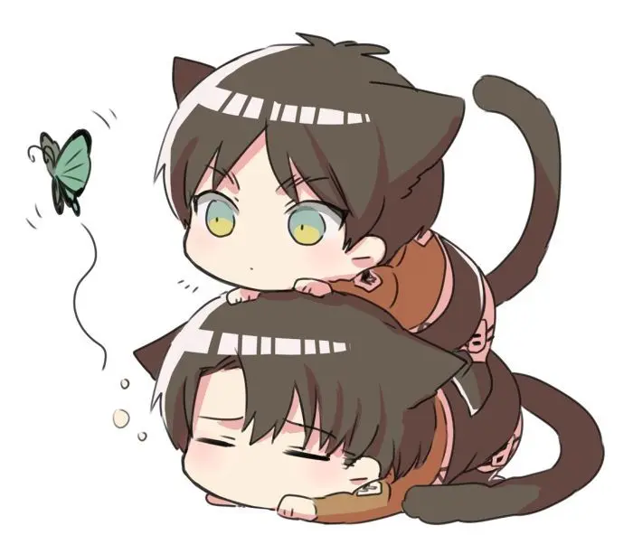 Bộ ảnh Eren cute là nguồn cảm hứng sáng tạo Bộ ảnh Eren cute là nguồn cảm hứng sáng tạo