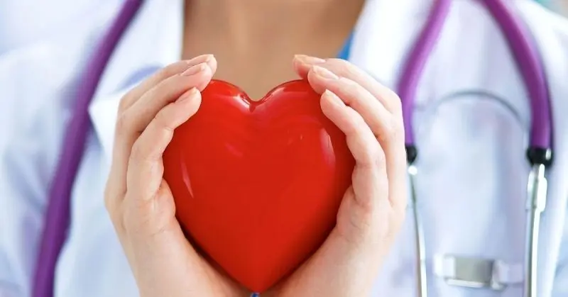 Hình ảnh quả tim trong lồng ngực giúp hiểu sâu về tim
