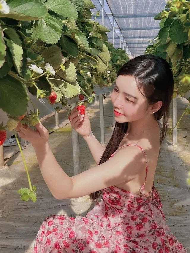 Quỳnh Kool mang lại nét đẹp mới lạ Quỳnh Kool mang lại nét đẹp mới lạ