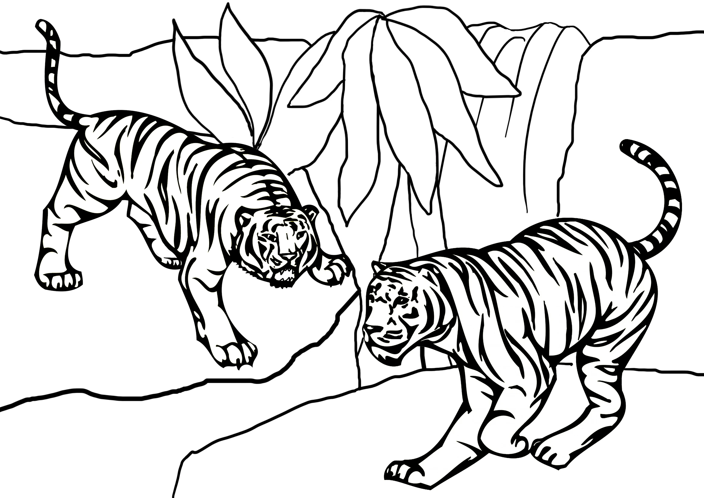 Khám phá tranh tô màu con hổ độc đáo, giúp trẻ thêm yêu thích thiên nhiên. Khám phá tranh tô màu con hổ độc đáo, giúp trẻ thêm yêu thích thiên nhiên.