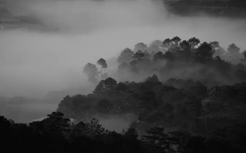 Ảnh âm u lưu giữ khoảnh khắc thiên nhiên tĩnh lặng Ảnh âm u lưu giữ khoảnh khắc thiên nhiên tĩnh lặng