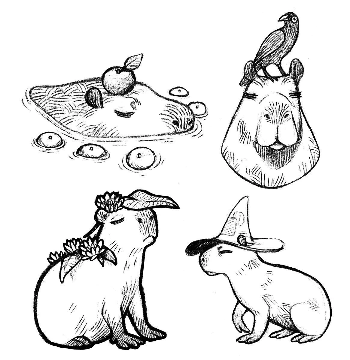 Khám phá tranh capybara cute đáng yêu, giúp bé thêm yêu thiên nhiên! Khám phá tranh capybara cute đáng yêu, giúp bé thêm yêu thiên nhiên!