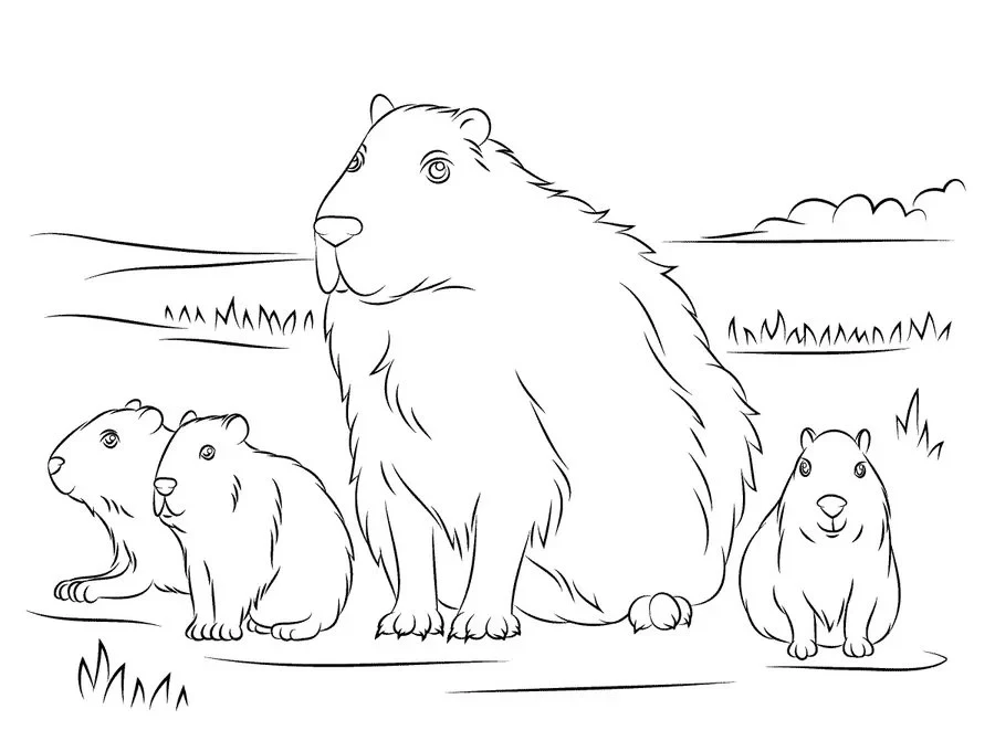 Tải ngay tranh capybara cute, giúp bé yêu phát triển khả năng sáng tạo. Tải ngay tranh capybara cute, giúp bé yêu phát triển khả năng sáng tạo.