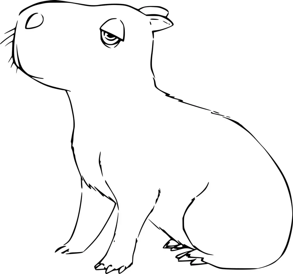 Tranh capybara cute dễ thương, kích thích trí tưởng tượng của trẻ. Tranh capybara cute dễ thương, kích thích trí tưởng tượng của trẻ.