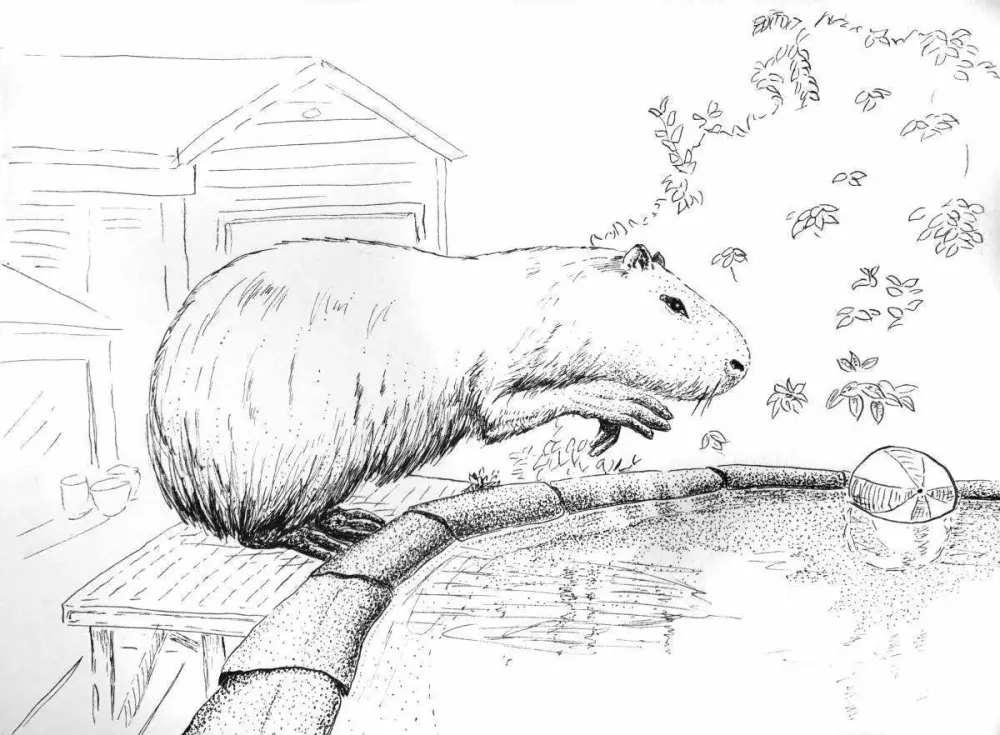 Bé yêu sẽ mê mẩn với tranh capybara cute sống động và dễ thương. Bé yêu sẽ mê mẩn với tranh capybara cute sống động và dễ thương.