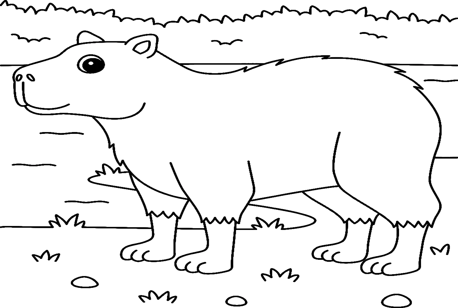 Cùng bé tô màu capybara cute, khám phá thế giới động vật hiền hòa. Cùng bé tô màu capybara cute, khám phá thế giới động vật hiền hòa.